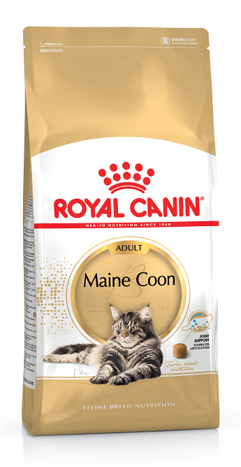 Royal Canin Cat MAINECOON ADULT