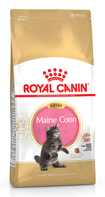Royal Canin Cat MAINECOON KITTEN
