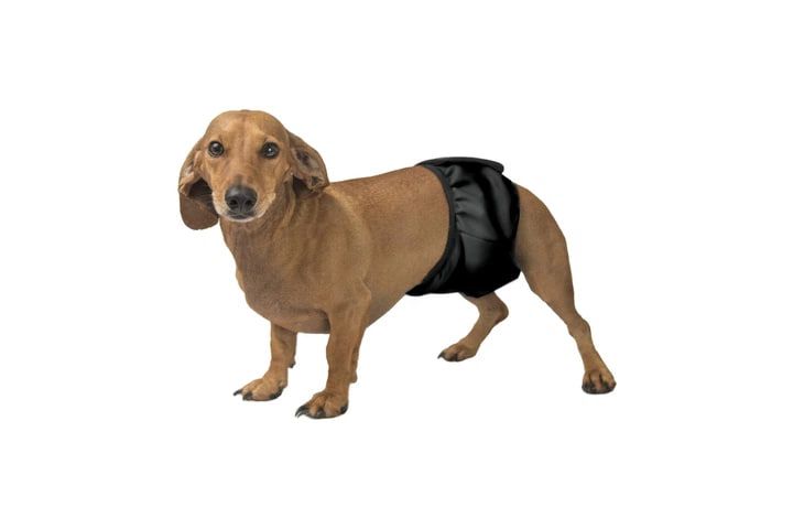 Okey Doggy Гігієнічний вбираючий пояс для псів, Чорний