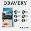 Bravery Salmon Mini Puppy з лососем