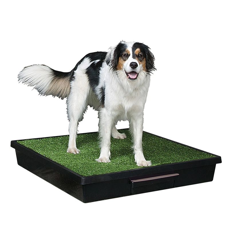 PetSafe Pet Loo Portable Pet Potty портативний туалет для собак