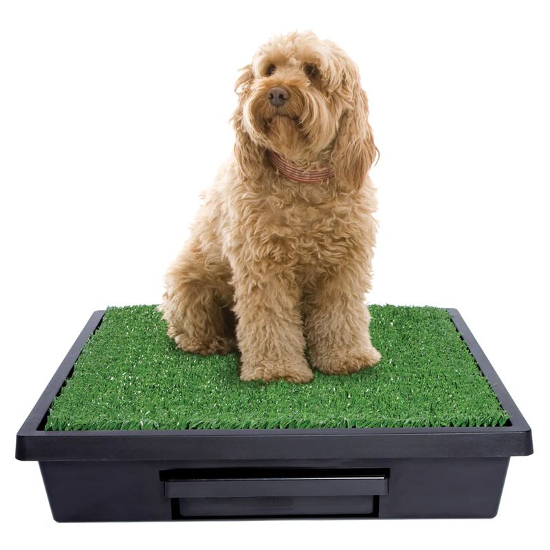PetSafe Pet Loo Portable Pet Potty портативний туалет для собак