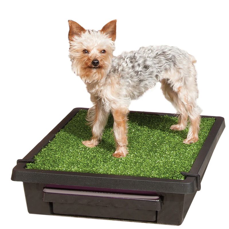 PetSafe Pet Loo Portable Pet Potty портативний туалет для собак