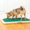 PetSafe Piddle Place Portable Pet Potty портативний туалет для собак