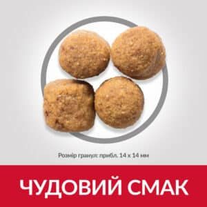Hills Dog Adult Science Plan Large Breed Lamb Rice, з ягням та рисом