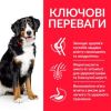 Hills Dog Adult Science Plan Large Breed Lamb Rice, з ягням та рисом