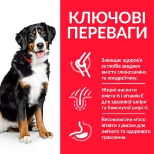 Hills Dog Adult Science Plan Large Breed Lamb Rice, з ягням та рисом
