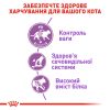 Royal Canin Cat STERILISED Сухий корм для стерилізованих котів