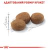 Royal Canin Cat STERILISED Сухий корм для стерилізованих котів