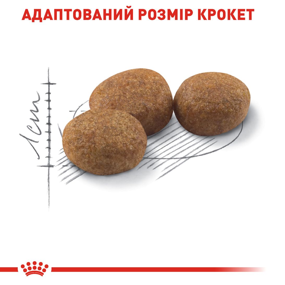 Royal Canin Cat STERILISED Сухий корм для стерилізованих котів
