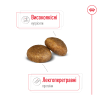 Royal Canin Maxi Adult - Корм збалансований для дорослих собак великих порід
