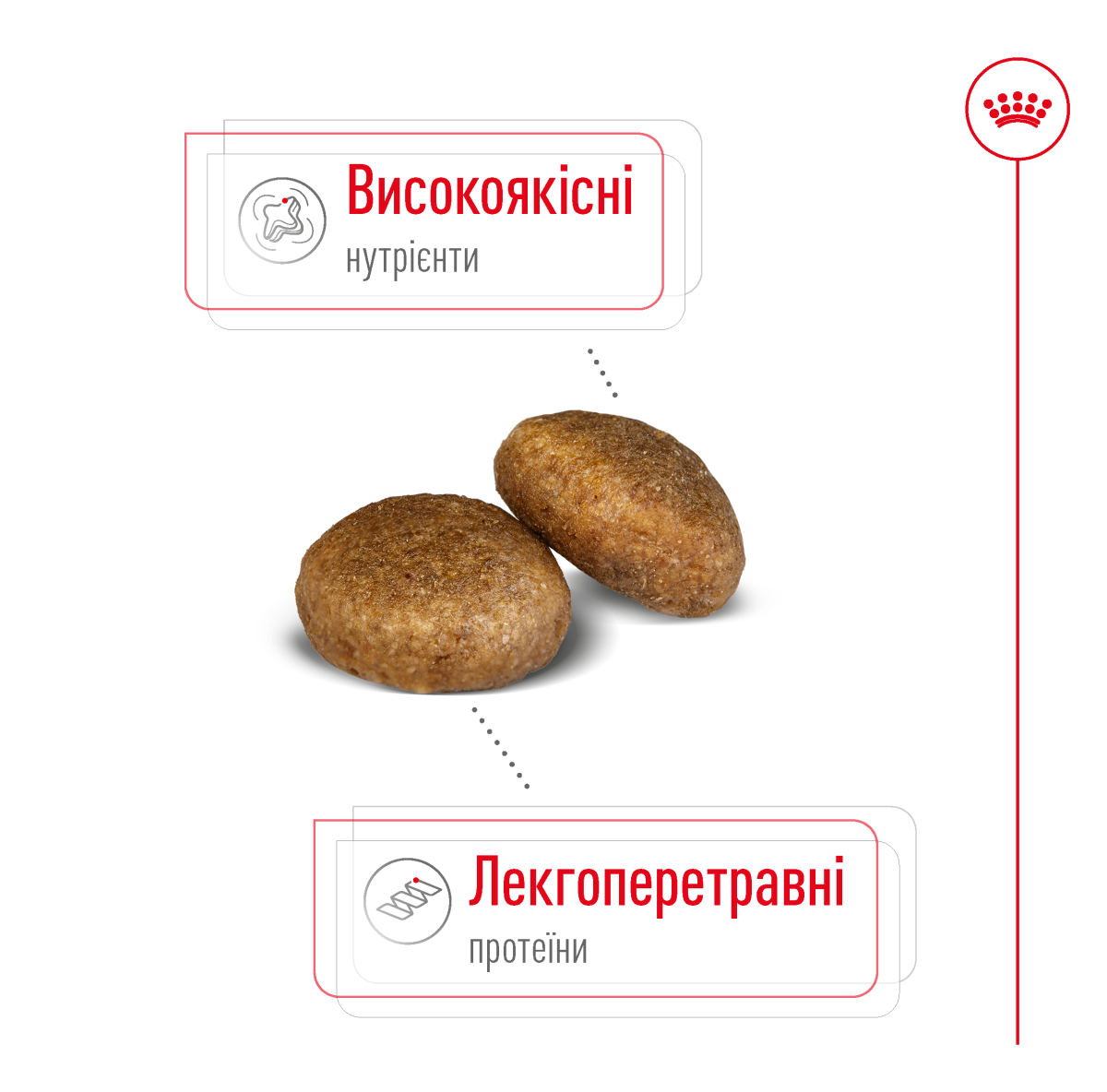 Royal Canin Maxi Adult - Корм збалансований для дорослих собак великих порід