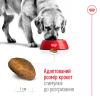Royal Canin Maxi Adult - Корм збалансований для дорослих собак великих порід
