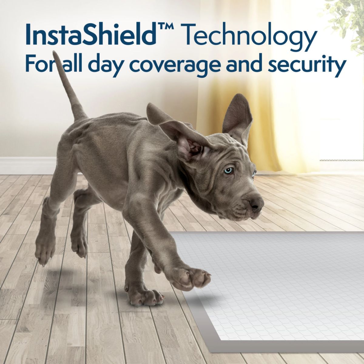 Simple Solution FragranceSmart™ Odor Control Puppy Training Pads Пелюшки для тварин з ароматом зеленого чаю