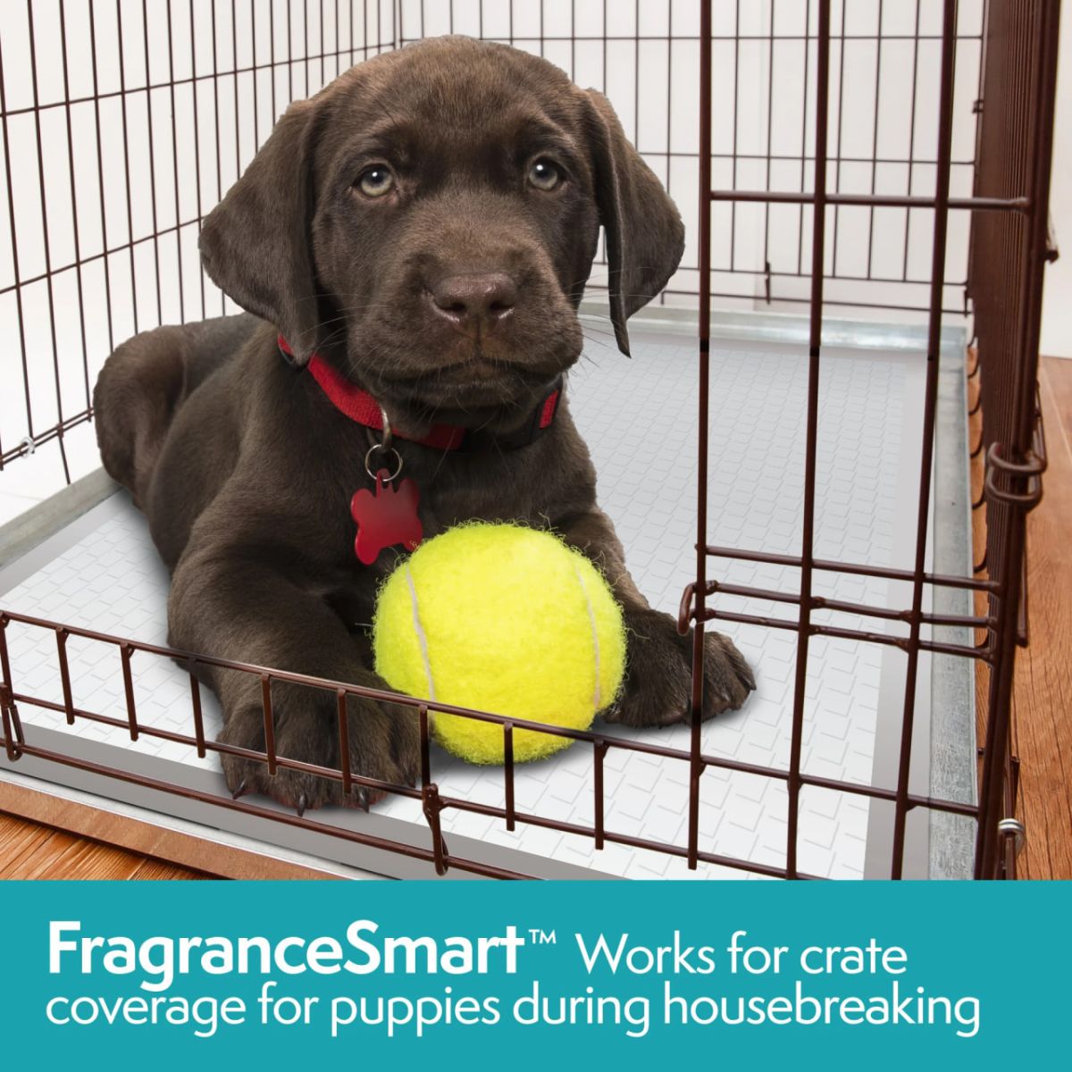 Simple Solution FragranceSmart™ Odor Control Puppy Training Pads Пелюшки для тварин з ароматом зеленого чаю