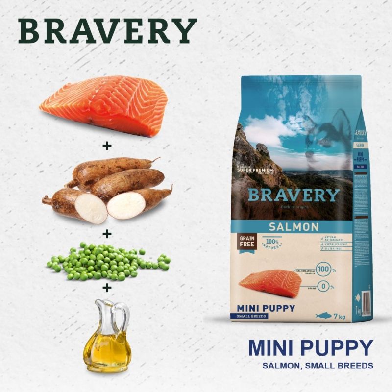 Bravery Salmon Mini Puppy з лососем
