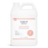 Veterinary Formula Clinical Care Hot Spot&Itch Relief Medicated Shampoo Антиалергенний від свербежу та подразнення з лідокаїном і гідрокартизоном