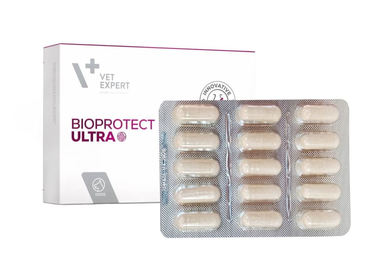VetExpert BioProtect Ultra Для собак з дисбалансом мікрофлори шлунково-кишкового тракту