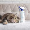 VetExpert Cat Odor Eliminator