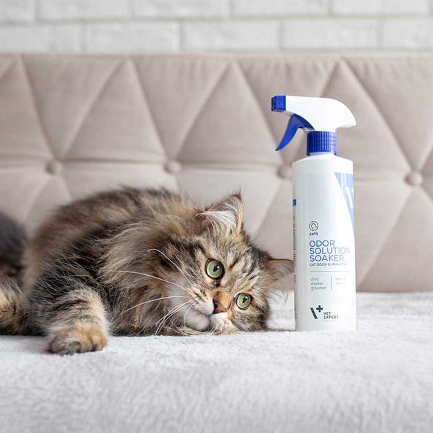 VetExpert Cat Odor Eliminator
